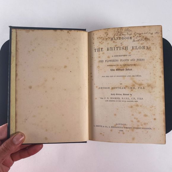 1895 Handbook of British Flora by George Bentham - Picture 5 of 13